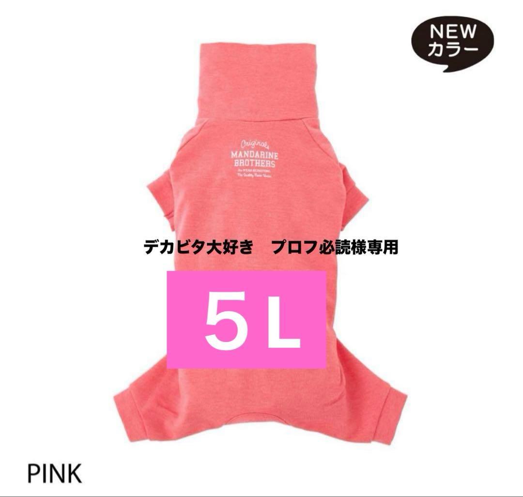 デカビタ大好きプロフ必読ピンク5L①マスタード５L①アイボリー５L①