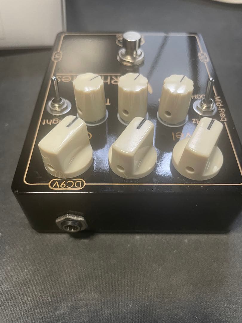 Vivie Professional Rhinotes ベースエフェクター 箱有