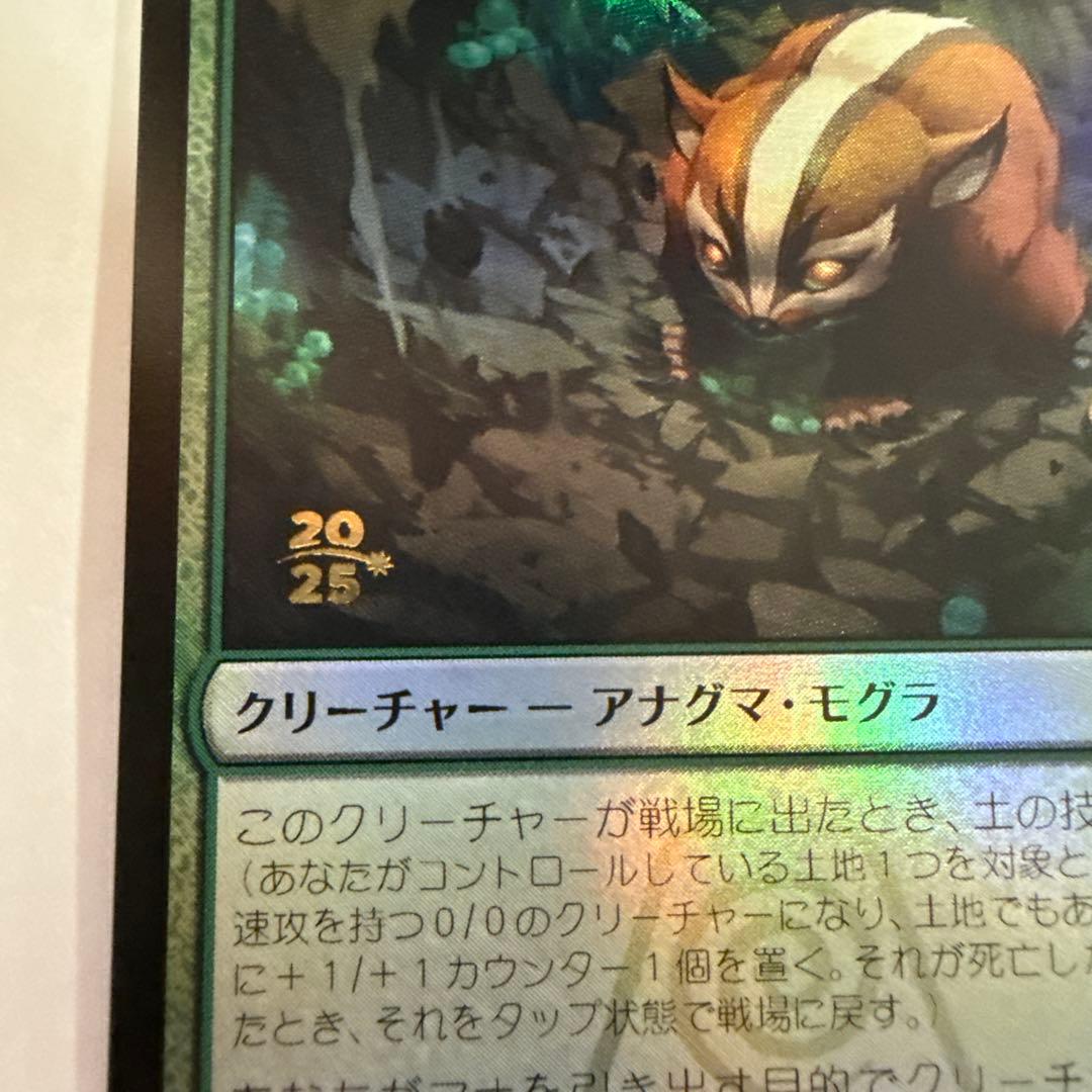 MTG アナグマモグラの仔 日本語　プレリリース　FOIL