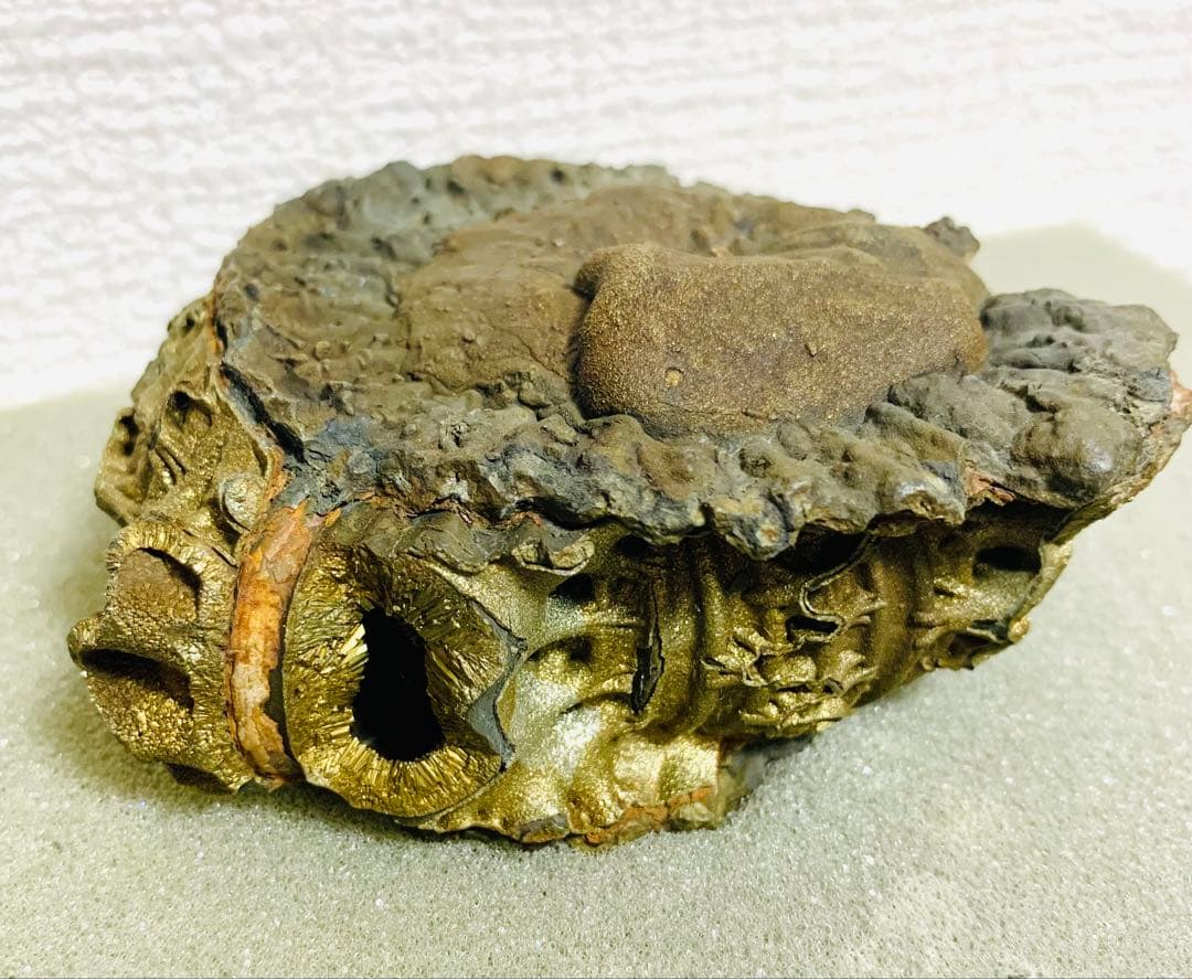黄鉄鉱化アンモナイト 化石 大型