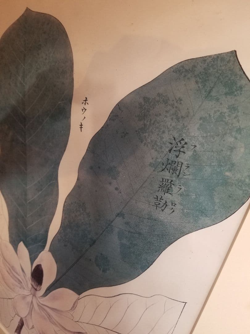 1970's　和モダン　朴の木　フランラロク　ボタニカル　シノワズリ　額装品