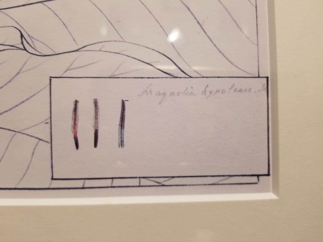 1970's　和モダン　朴の木　フランラロク　ボタニカル　シノワズリ　額装品