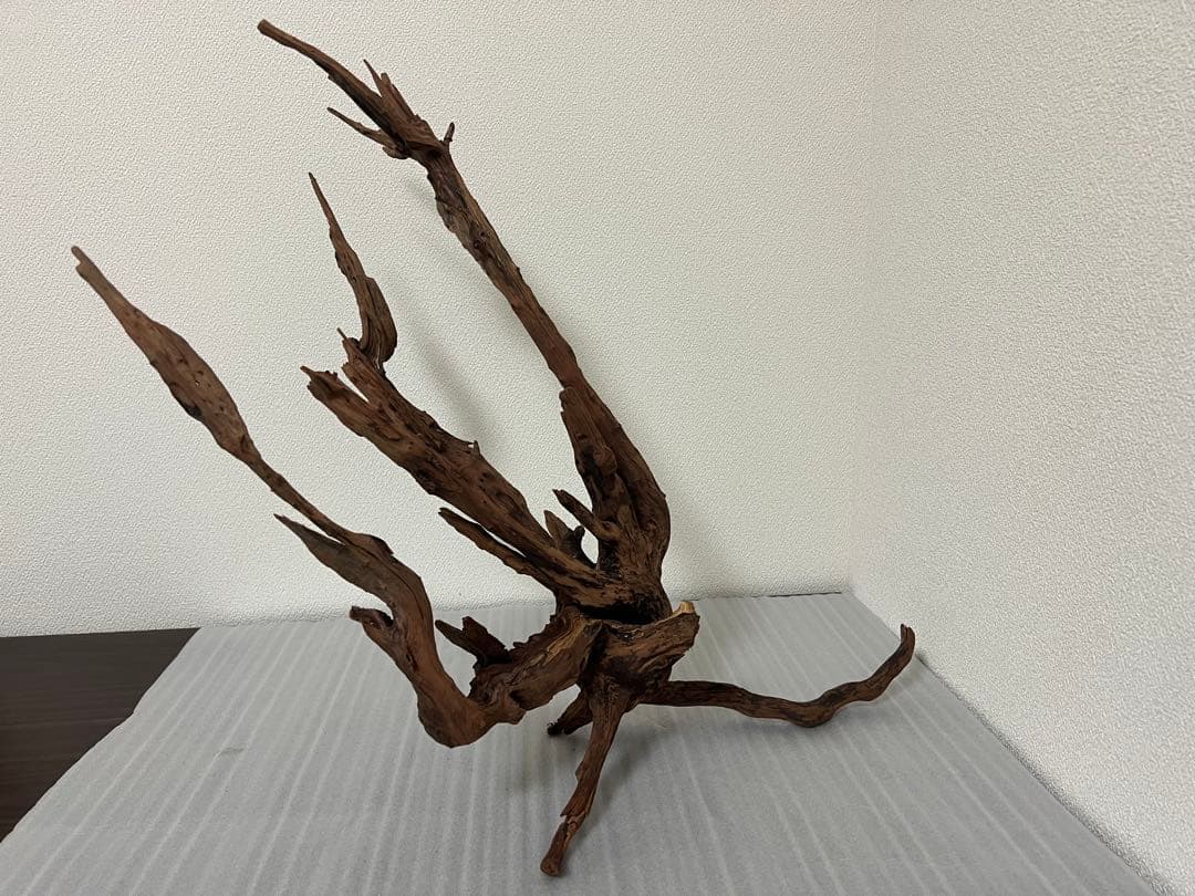 HX-083 流木　ホーンウッド　マシンガンウッド　アクアリウム　ブランチウッド