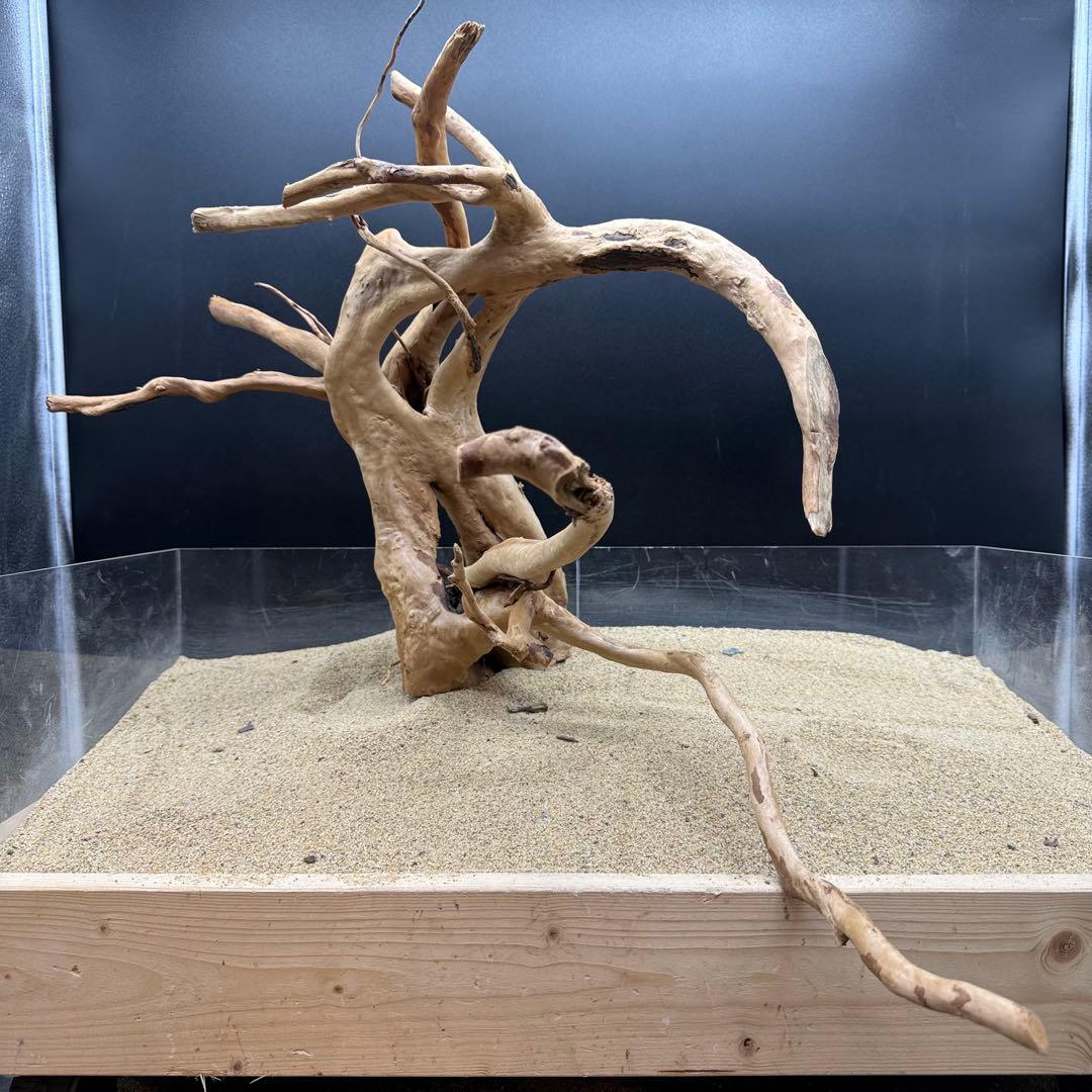 MDW-7159 特大ブランチウッド　流木　枝流木　アクアリウム