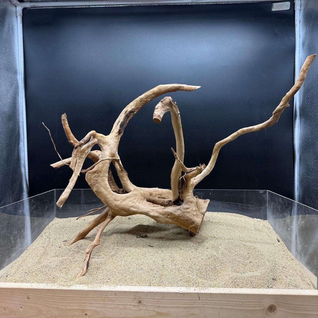 MDW-7159 特大ブランチウッド　流木　枝流木　アクアリウム