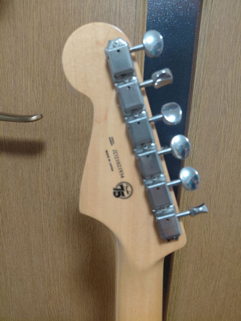 Fender stratocaster ストラトキャスター