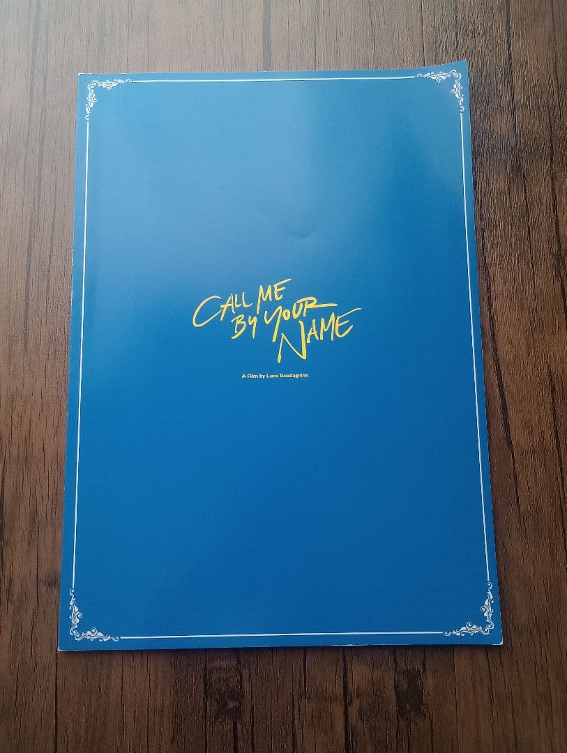 【限定版】君の名前で僕を呼んで パンフレット