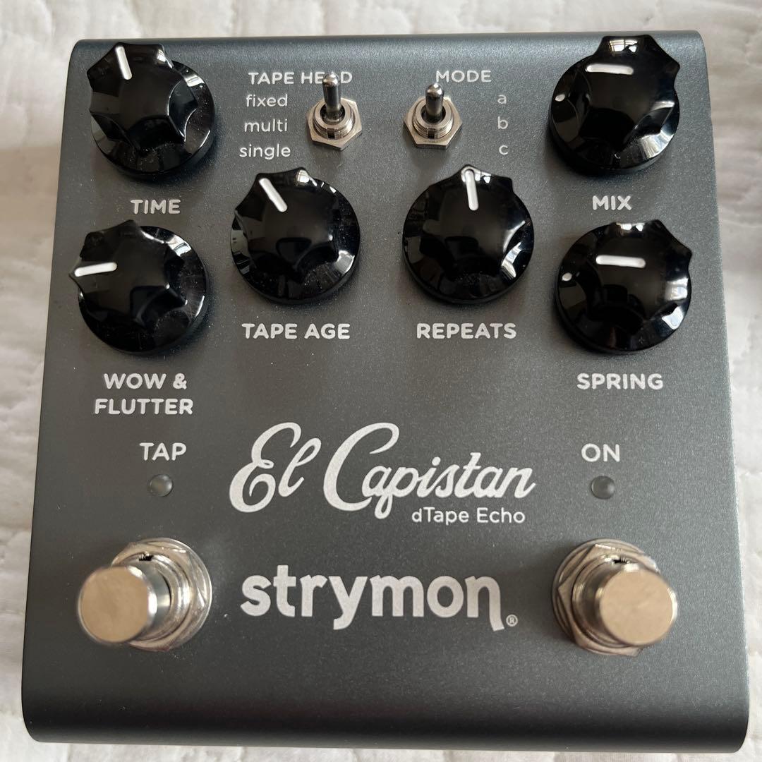 早い者勝Strymon El Capistan V2 ＋Switchつき