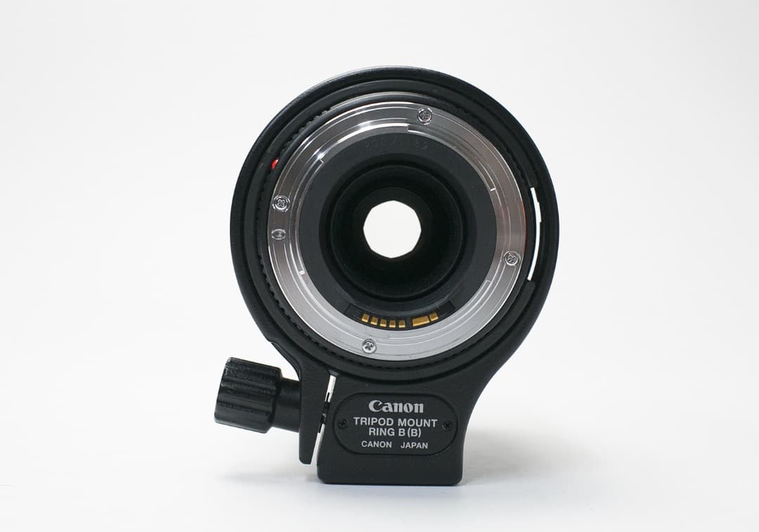 Canon EF 100mm f/2.8 マクロ USM レンズ（作例あり）