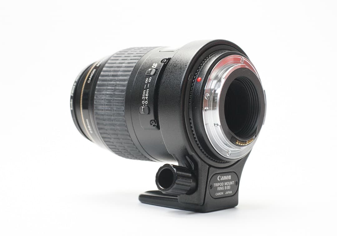 Canon EF 100mm f/2.8 マクロ USM レンズ（作例あり）