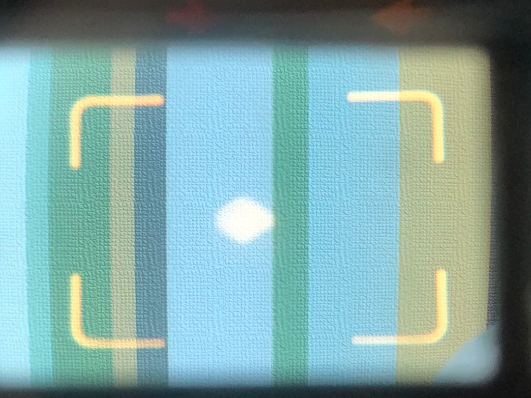 分解整備清掃済 美品 Yashica Electro 35 GS