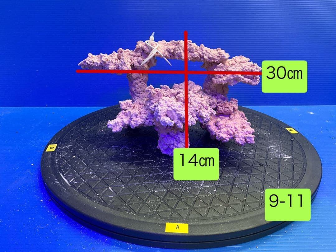 人工ライブロック　No.11 無害化処理済