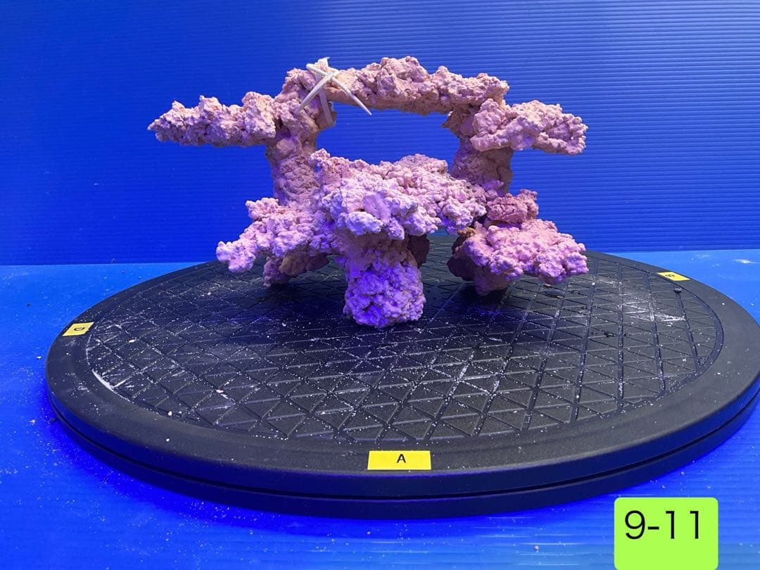 人工ライブロック　No.11 無害化処理済