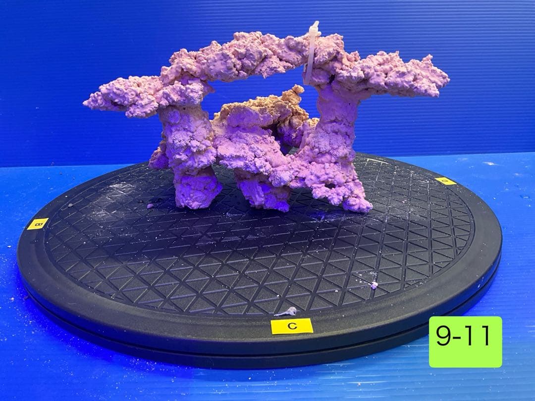 人工ライブロック　No.11 無害化処理済