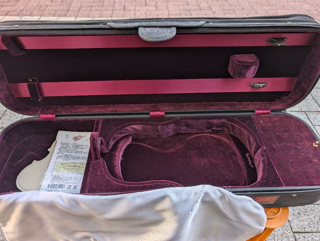 【特価】エレキバイオリン　David Gage　The Realist　RV4