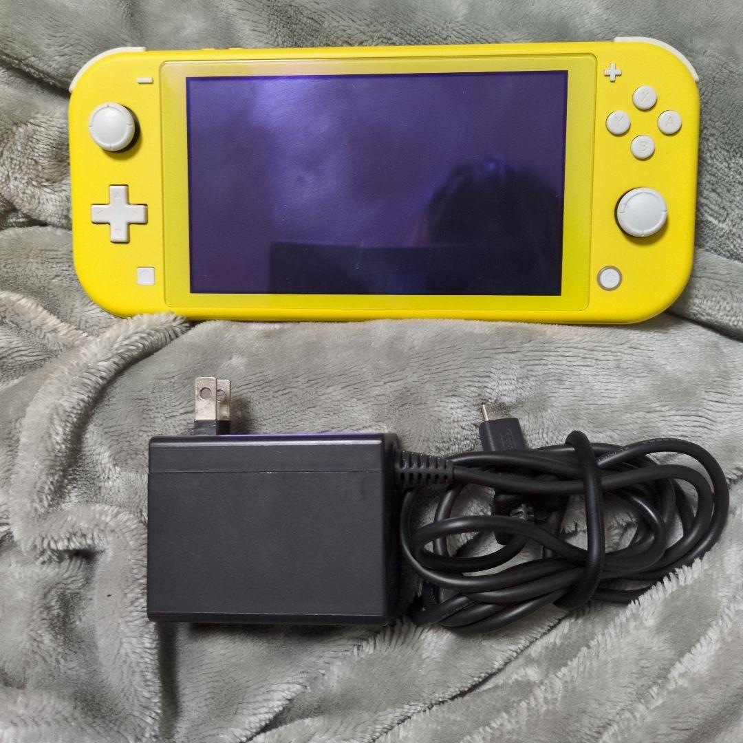 Nintendo Switch Lite　本体　純正ACアダプター 充電器付き