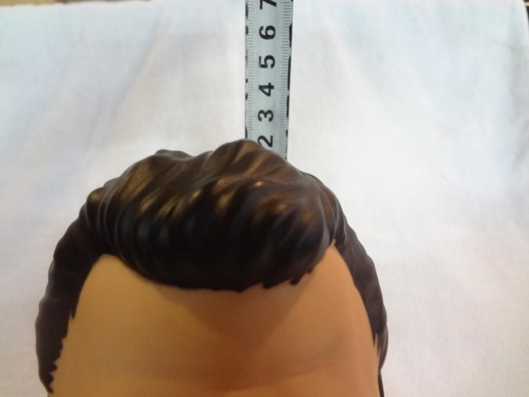 燃える闘魂 アントニオ猪木2001モデル版サウンドバンク