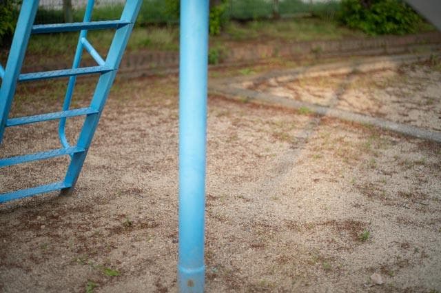 【玉ボケが綺麗なオールドレンズ】smc takumar 55mm f1.8