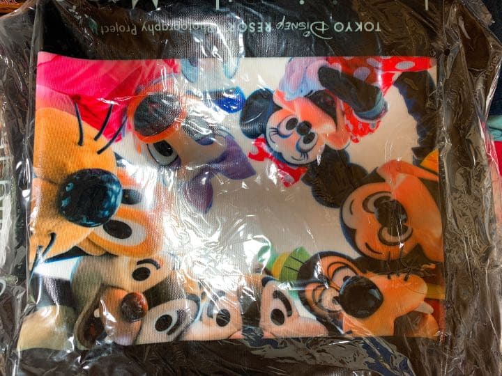 ディズニー  実写　カメラケース　トートバッグ　虻川美香　新品未使用　完売商品