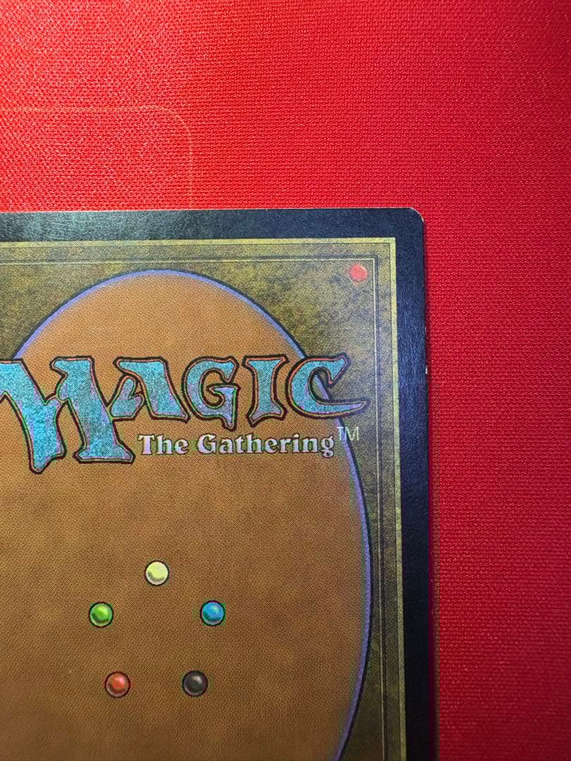 実物提示教育　ウルザスサーガ　英語　4枚セット