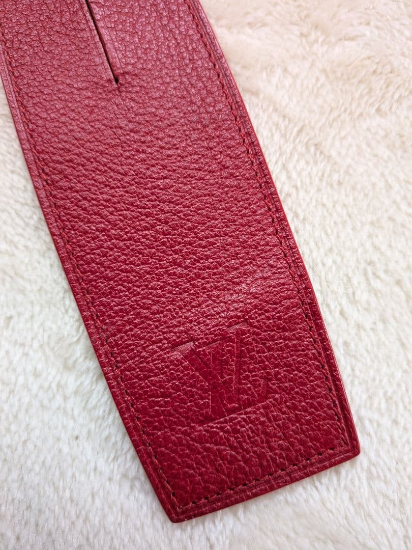 ルイ・ヴィトン 　レザーペンケース 　タイガシリーズレッド　匿名配送　即日発送