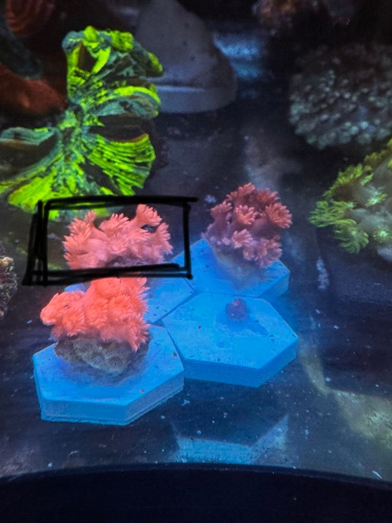 とーい出品ページ