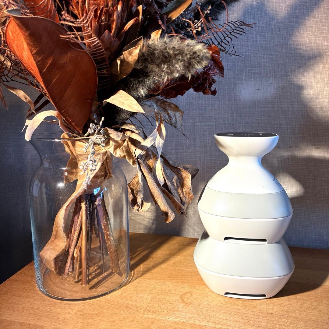 値段相談可能！パナソニック 頭皮エステ EH-HE0G