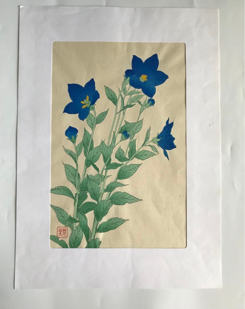 河原崎奨堂 芸艸堂 花の木版画 桔梗