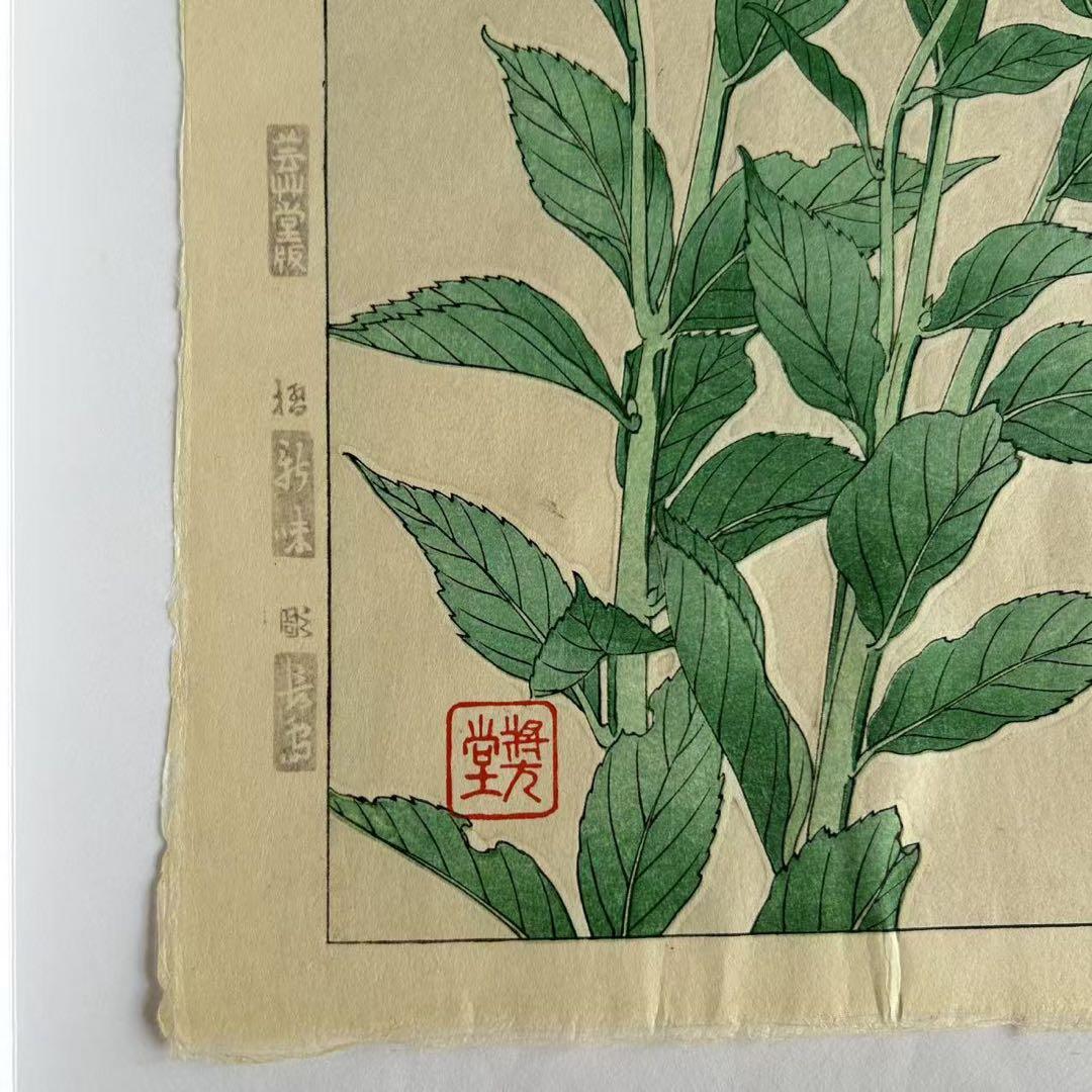 河原崎奨堂 芸艸堂 花の木版画 桔梗