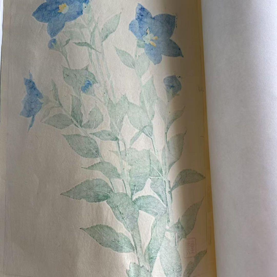 河原崎奨堂 芸艸堂 花の木版画 桔梗
