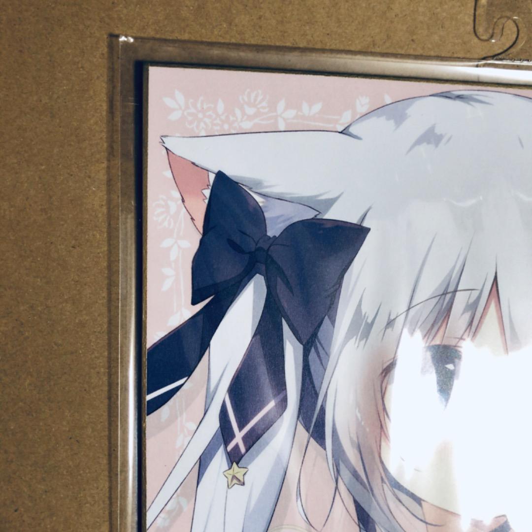 サイン入り 複製色紙 しらたま たまトーク2019 しらたまこ つららちゃん