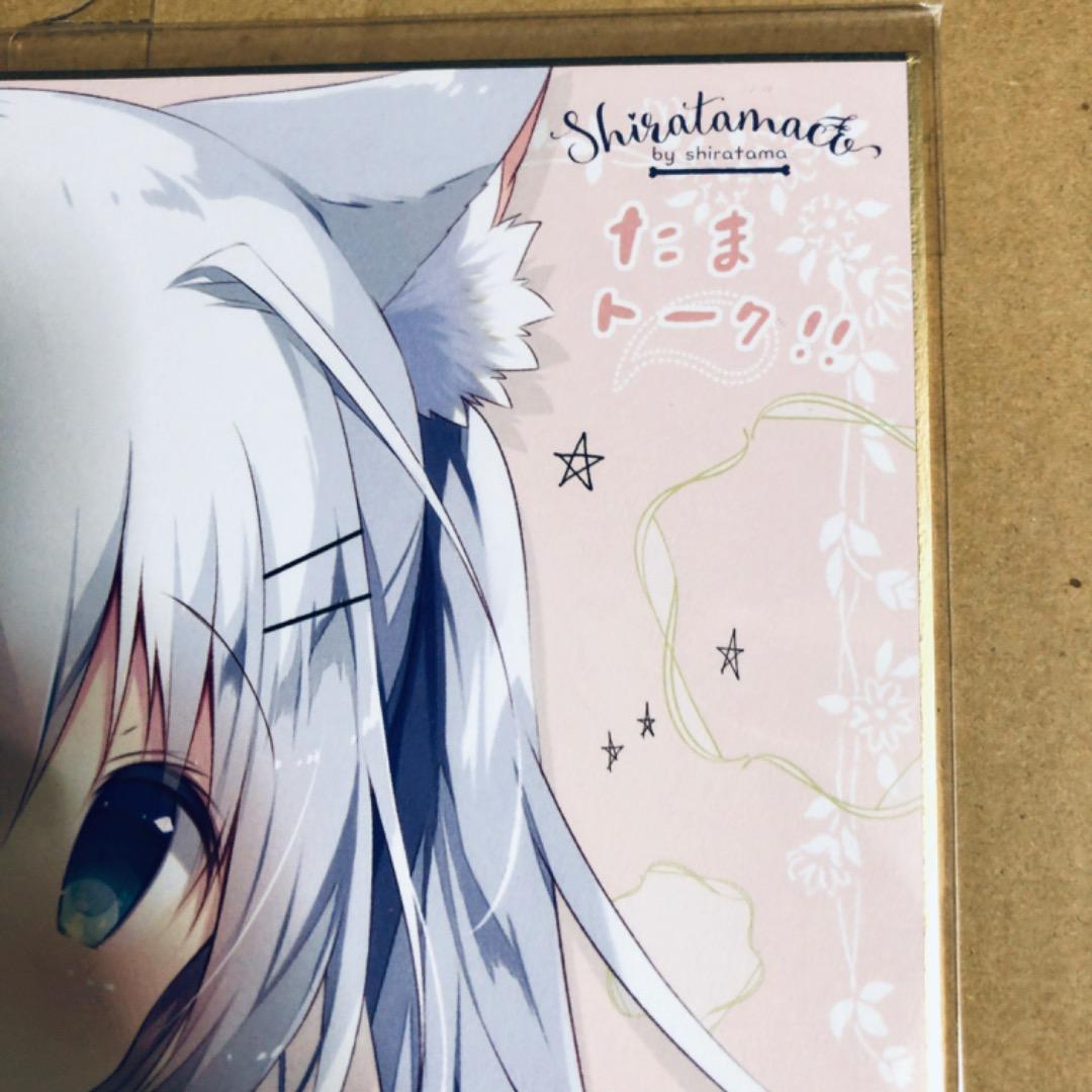 サイン入り 複製色紙 しらたま たまトーク2019 しらたまこ つららちゃん