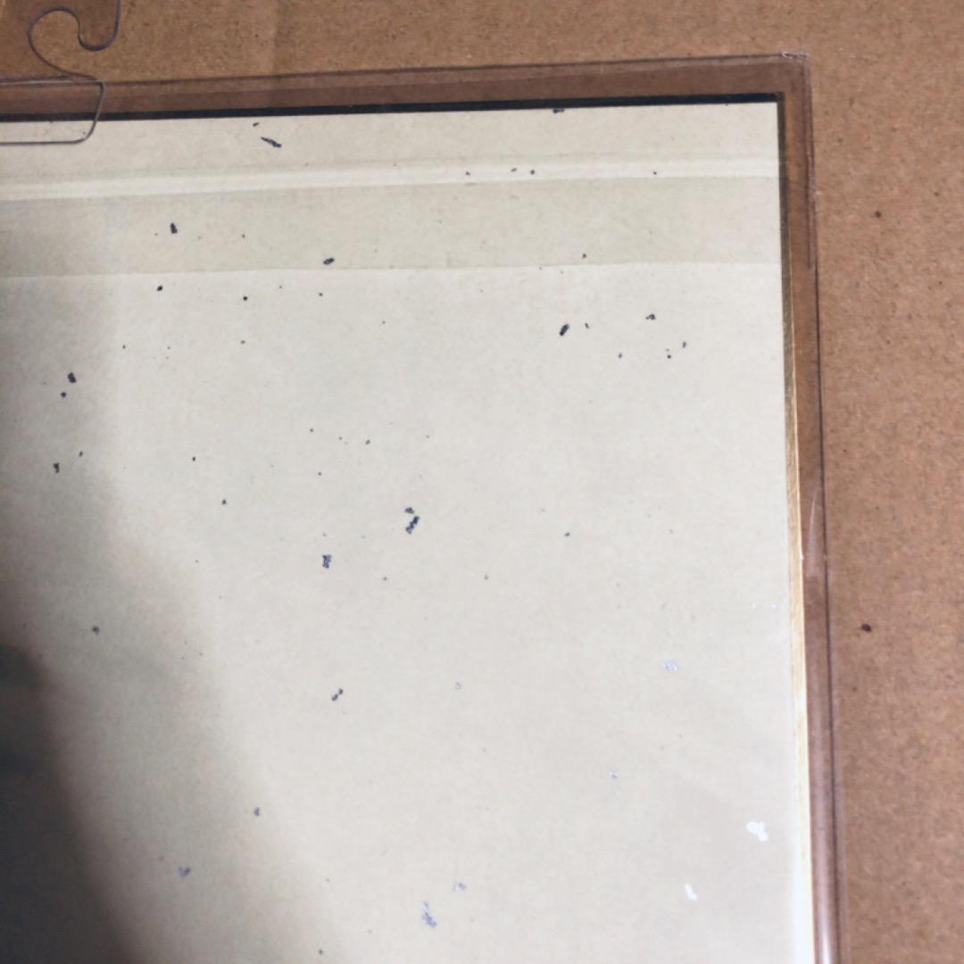 サイン入り 複製色紙 しらたま たまトーク2019 しらたまこ つららちゃん