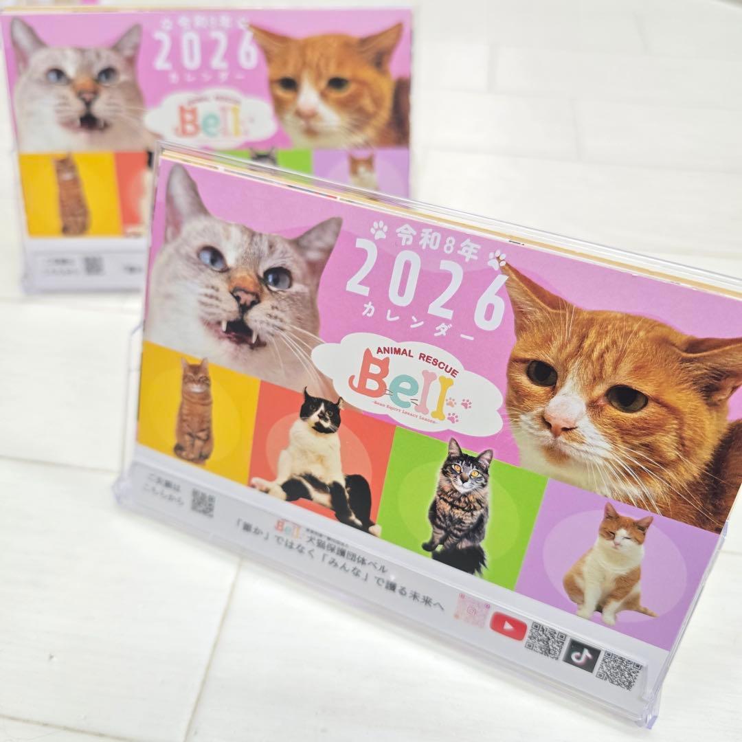 ②《猫》 卓上チャリティーカレンダー5枚セット