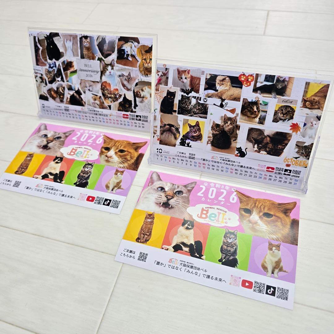 ②《猫》 卓上チャリティーカレンダー5枚セット