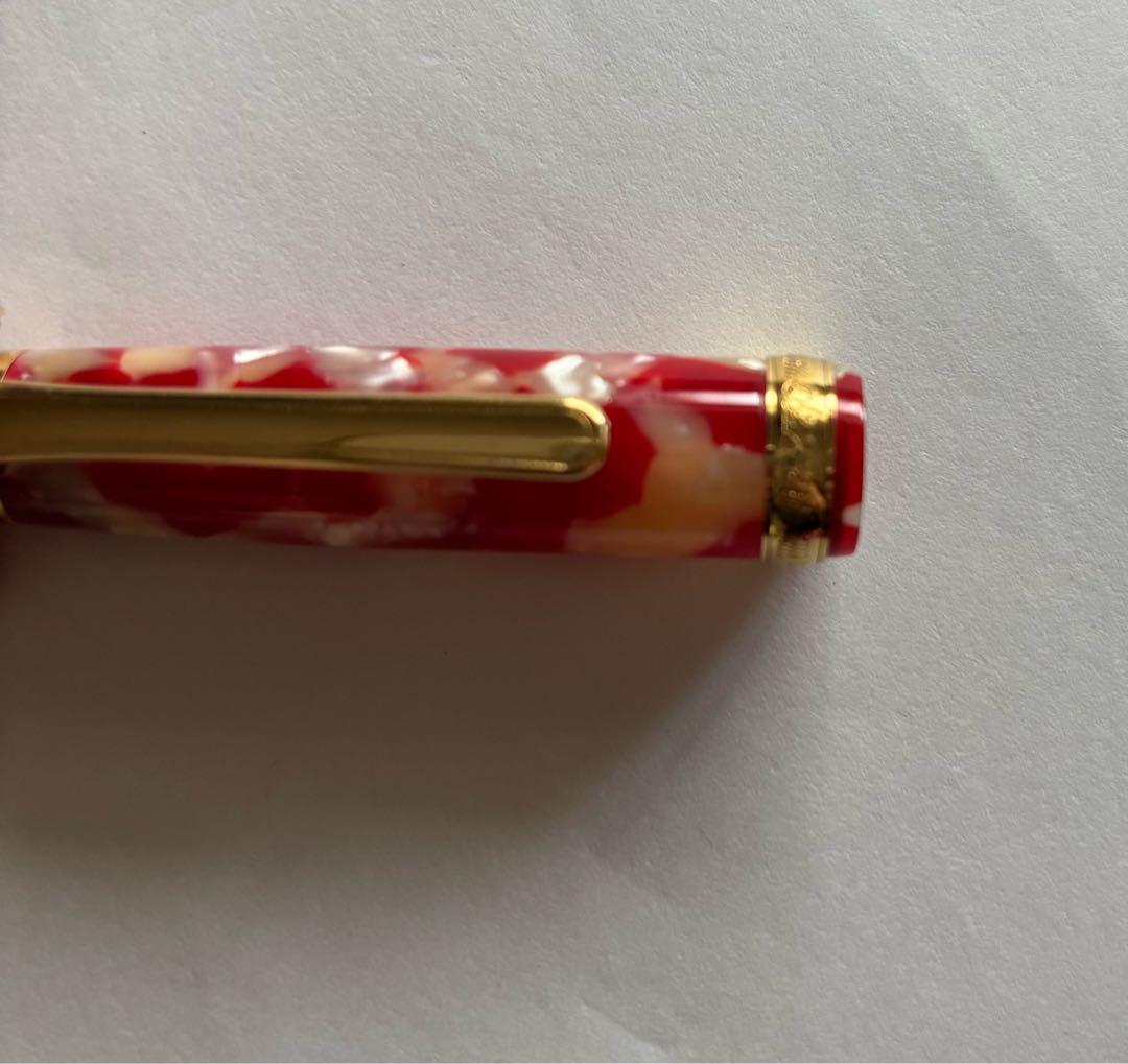 【Xmasセール】プラチナ万年筆 金魚セルロイド　14K Mニブ#3776