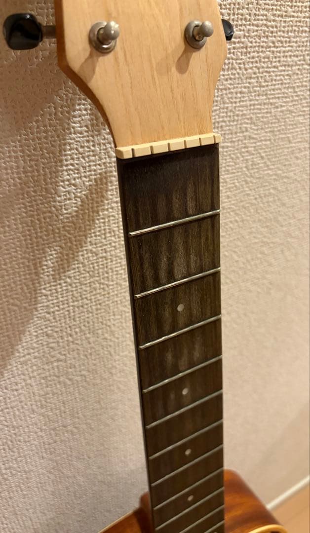 リメンバーミー コルドバ Cordoba ミニギター