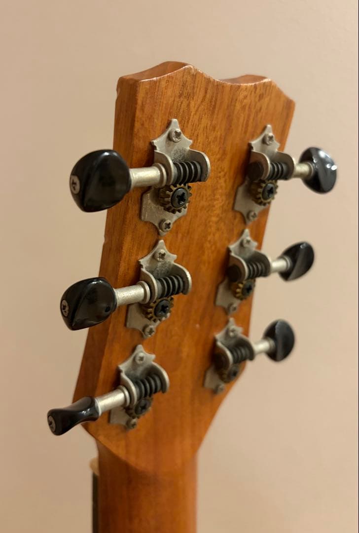 リメンバーミー コルドバ Cordoba ミニギター