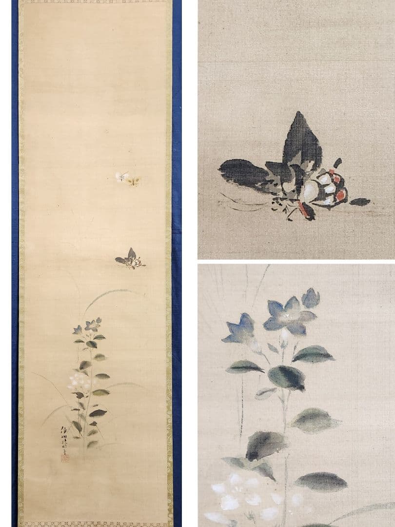 【桔梗に蝶々図】狩野伊川院栄信 2696 江戸狩野派 古画 掛け軸 肉筆