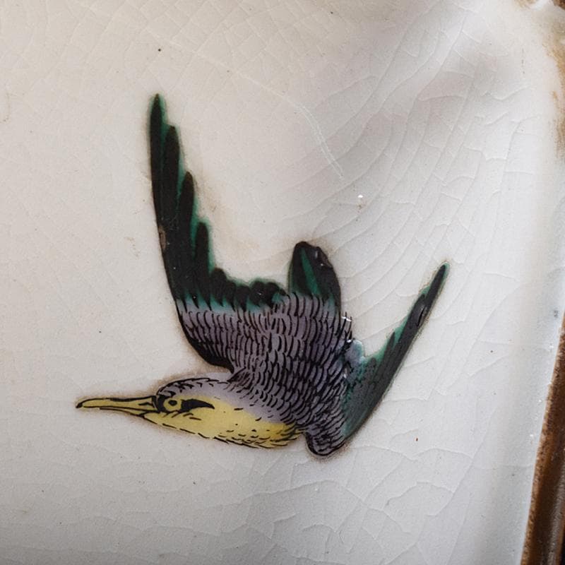 九谷焼　色絵　鳥草文　菱形中皿　五客　時代箱付　M　R8296