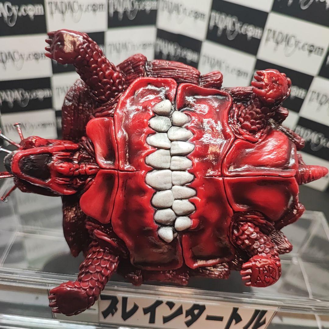 92ブレインタートル