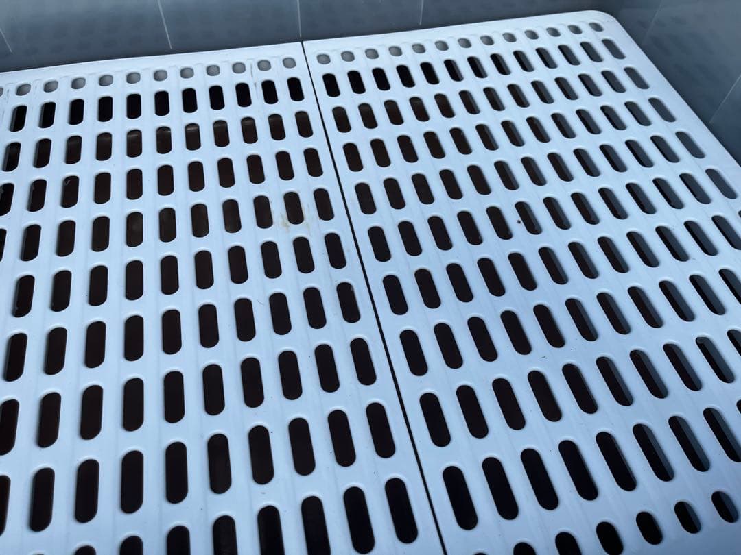 うさぎ　飼育セット　12点まとめ売り