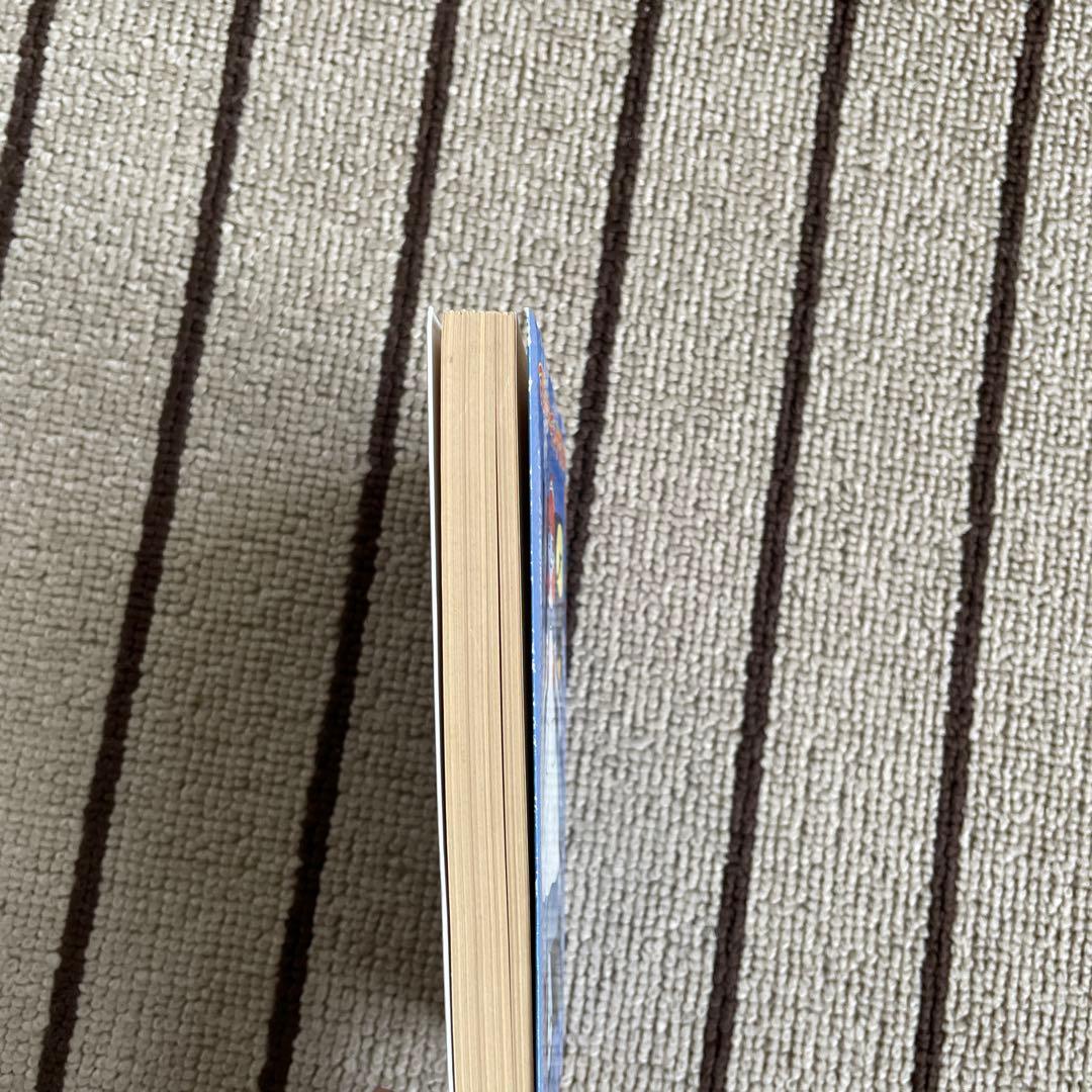 マジック・キングダムで落ちぶれて