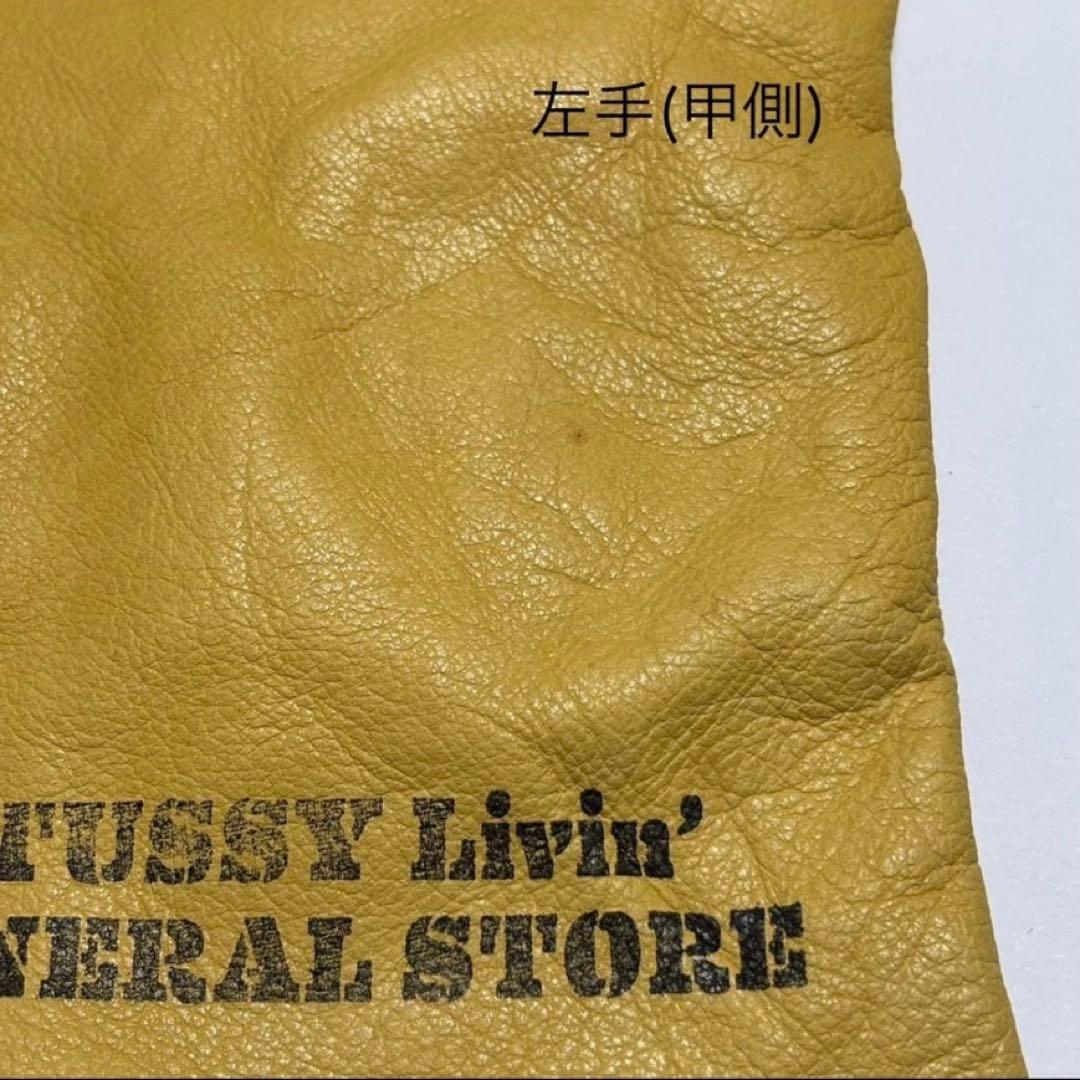 STUSSY Living’ GENERAL STORE ステューシー グローブ