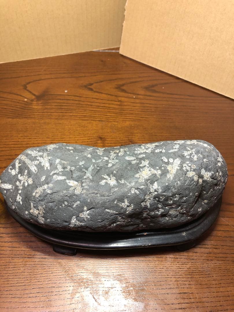 サクラ石　鑑賞石　水石