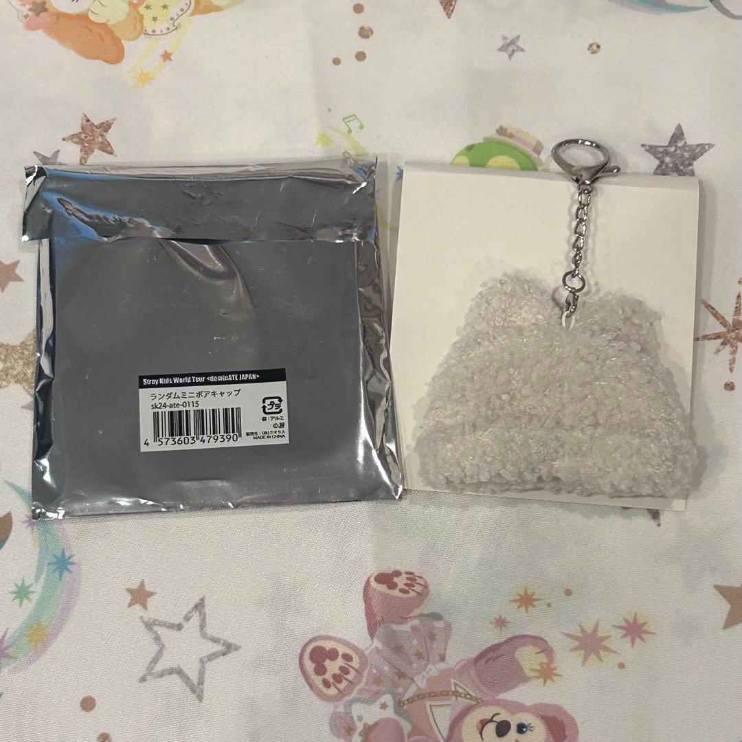 SKZ テディベア ぬいぐるみ teddybear フォクシニー アイエン