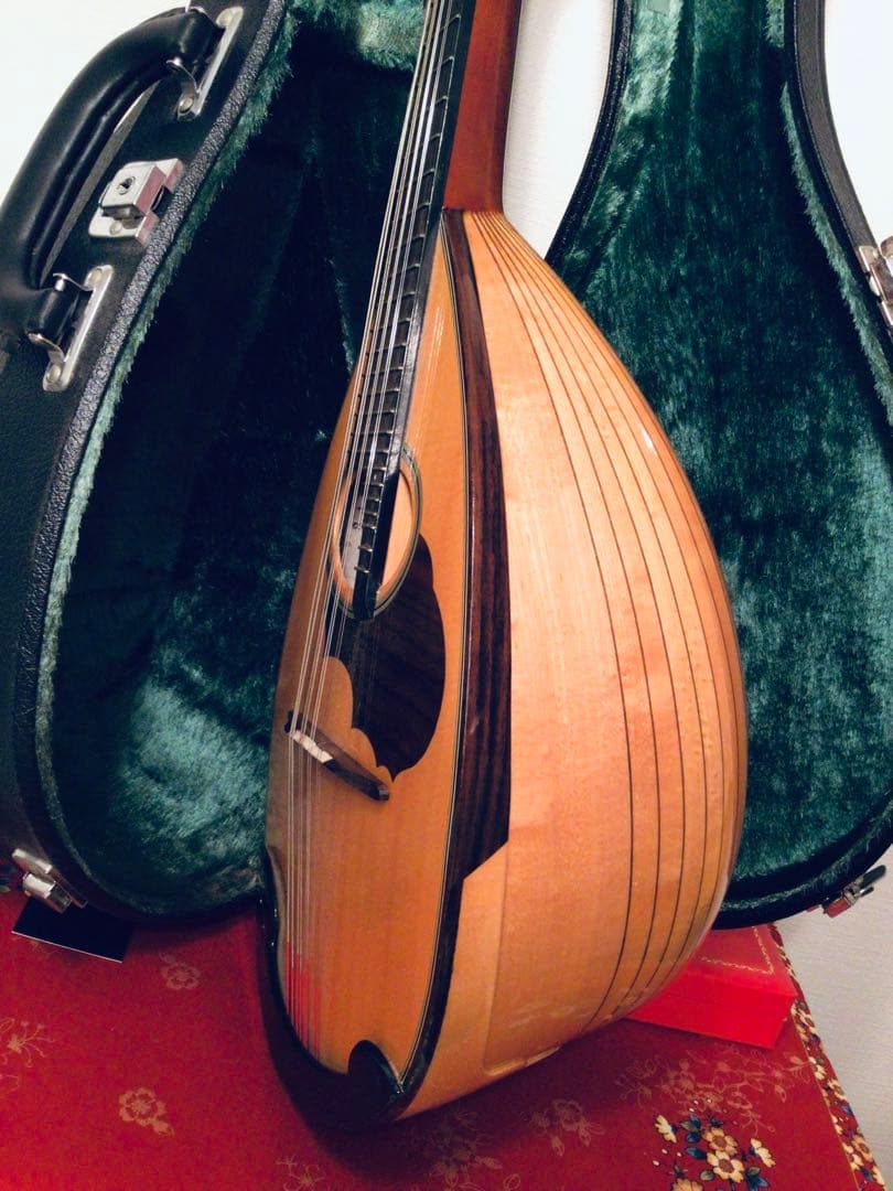 ◉鈴木バイオリン SUZUKI マンドリン M-30 ハードケース スズキ◉美品