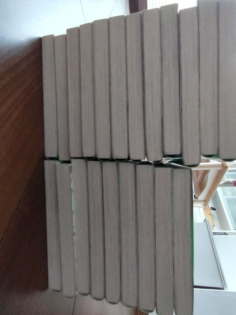 りぃな！四つ子ぐらし　全20巻セット