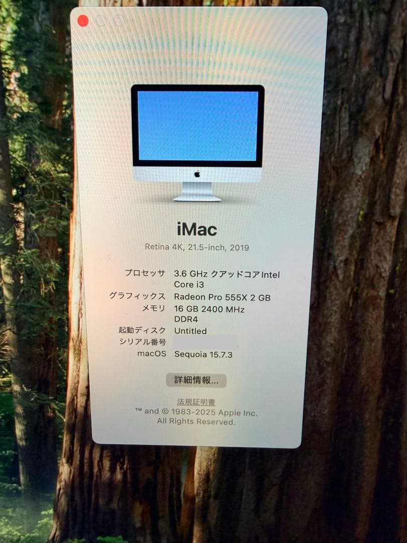 iMac Retina 4K 21.5-inch 2019年