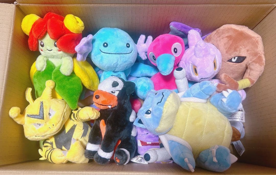 ポケモン fit 17体 まとめ売り